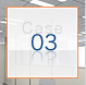 Case.03